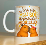 Você é Meu Sol | Casal Capivaras