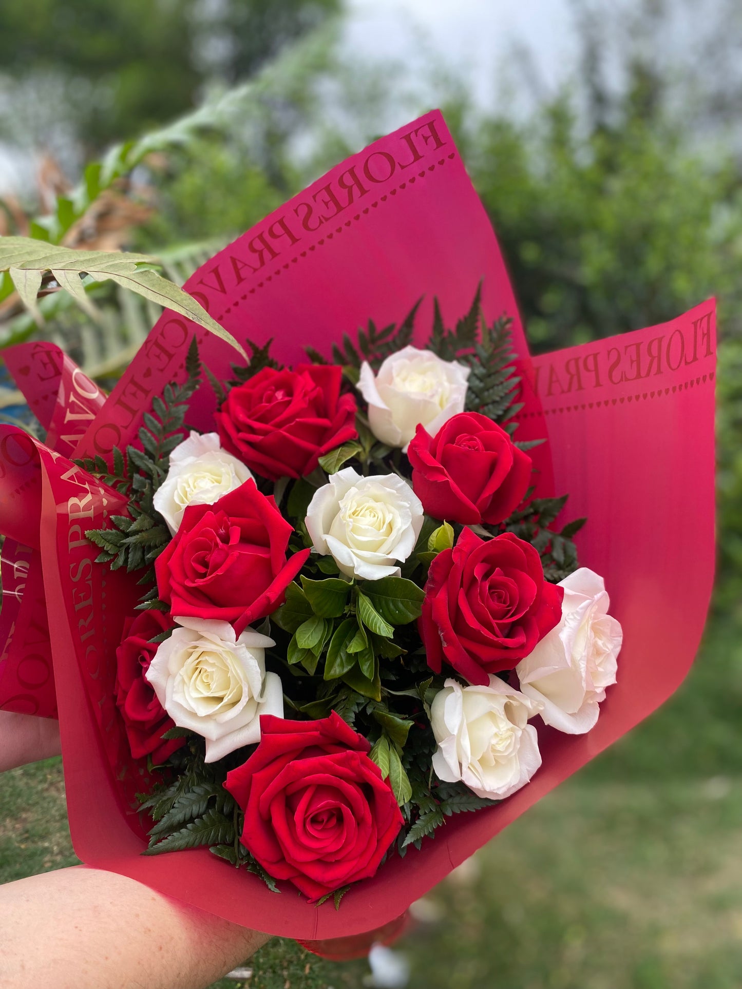Buquê de 12 Rosas