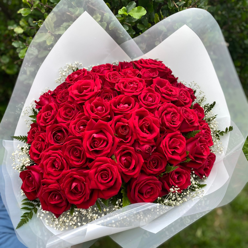 Buquê de 50 Rosas Vermelhas