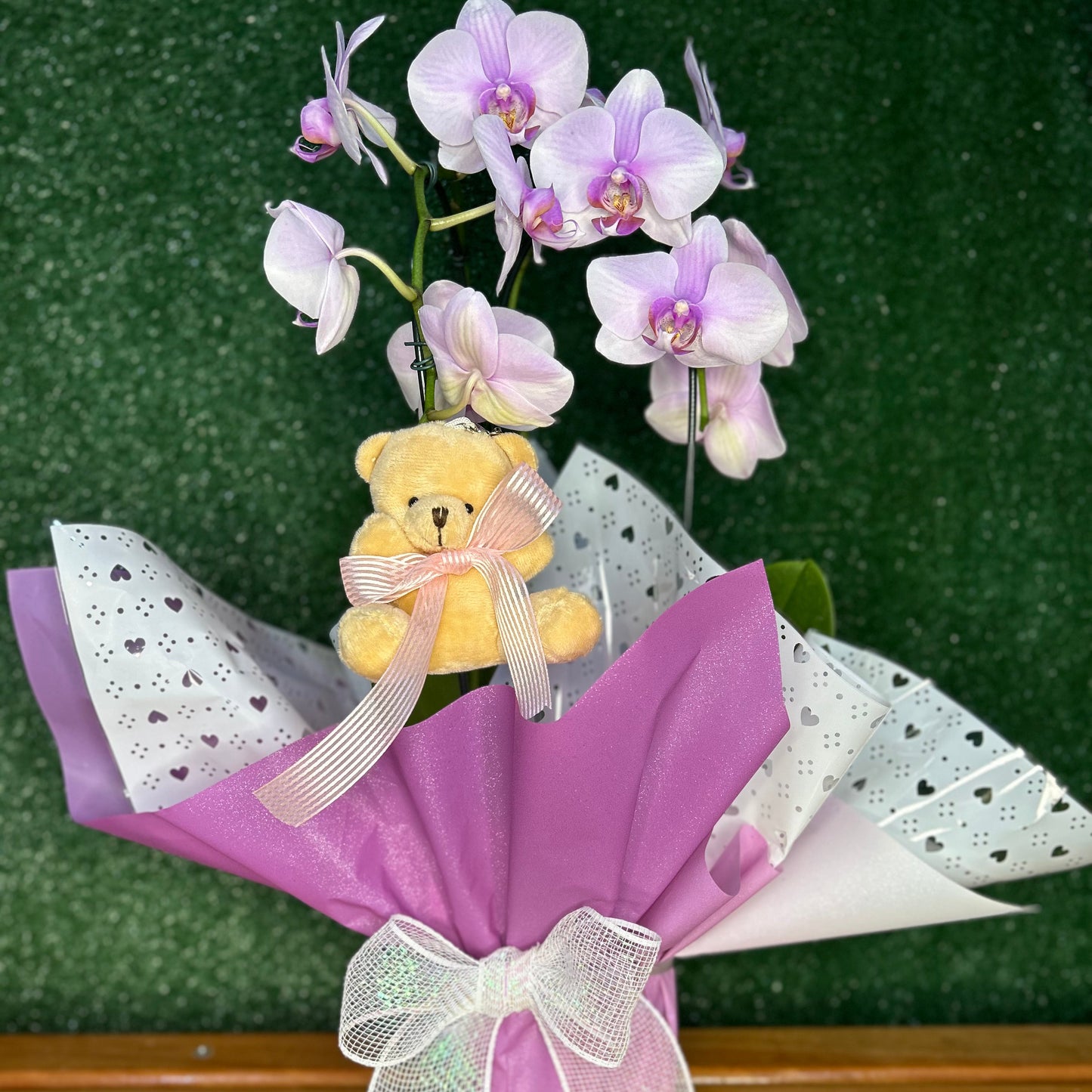 Orquídea Lilás para Presente com Pelúcia